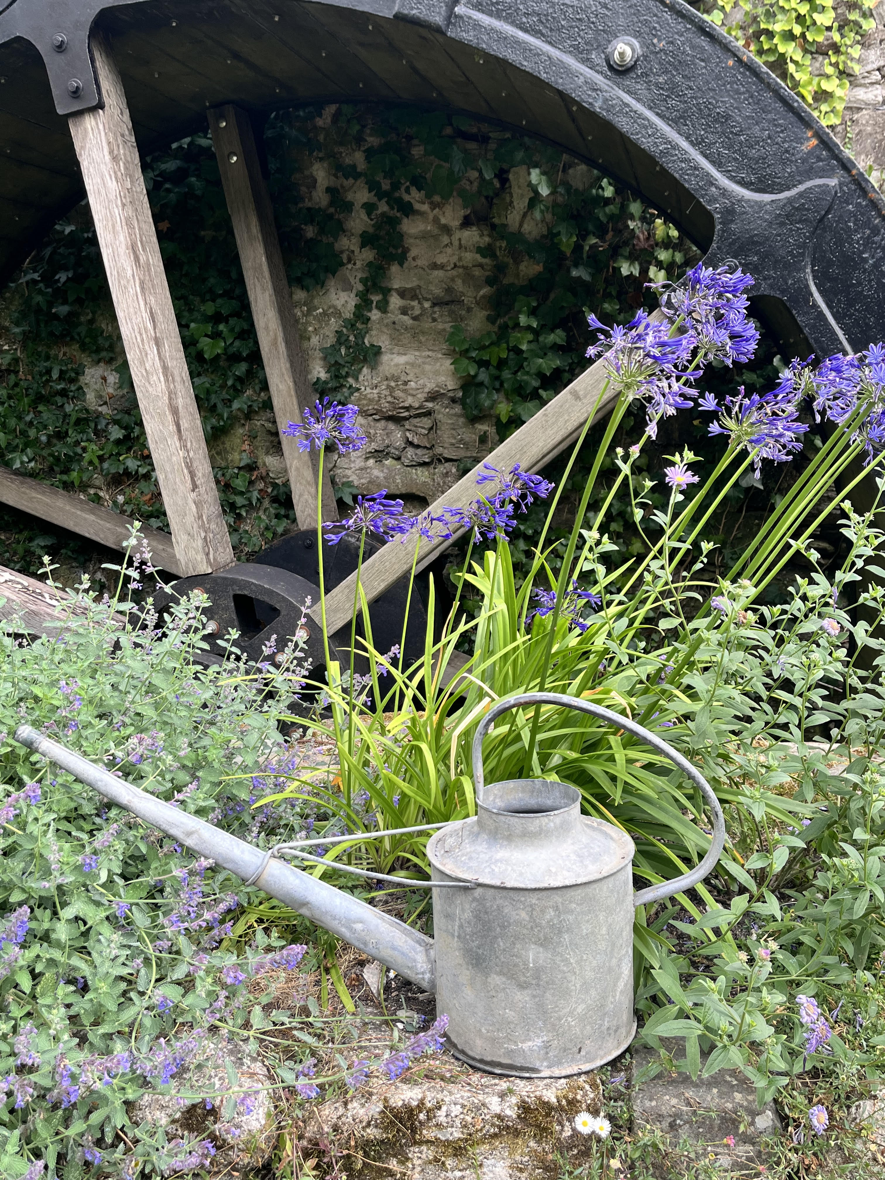 WATERING CAN